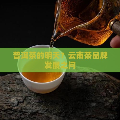 云南省普洱茶品牌发展建议
