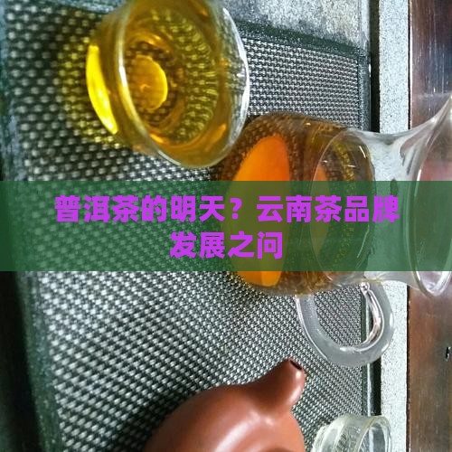 云南省普洱茶品牌发展建议
