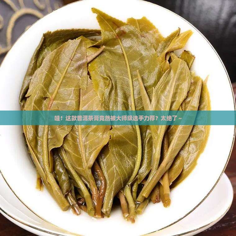 普洱茶膏大师级