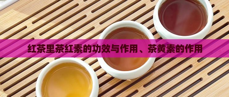 红茶里茶红素的功效