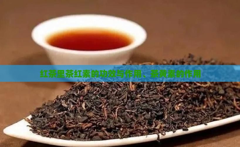 红茶里茶红素的功效