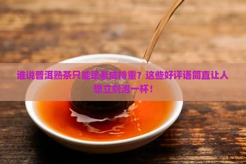 普洱茶熟茶的好评语