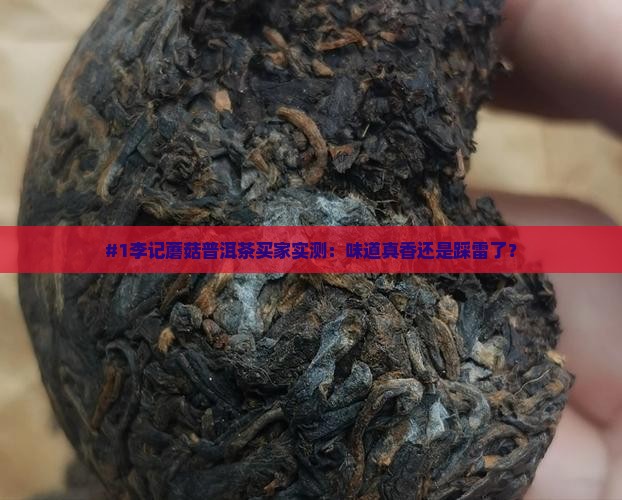 李记蘑菇普洱茶