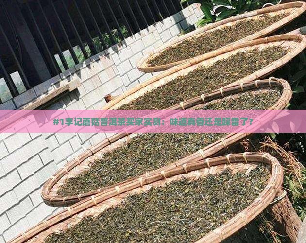 李记蘑菇普洱茶