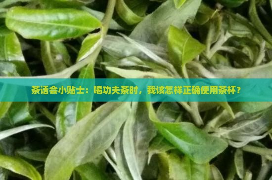 喝茶可以碰杯子吗