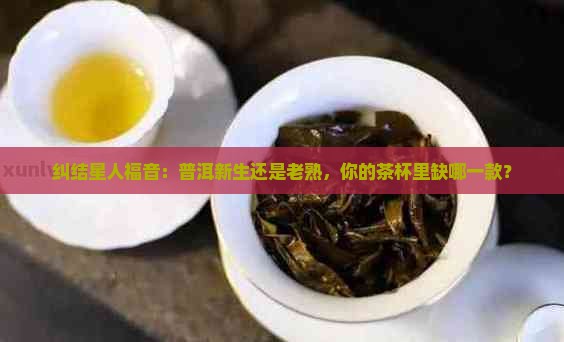 普洱茶是喝生还是熟的好
