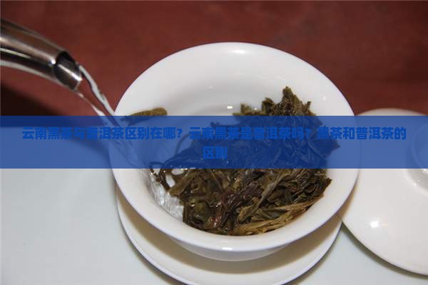 云南黑茶与普洱茶区别在哪