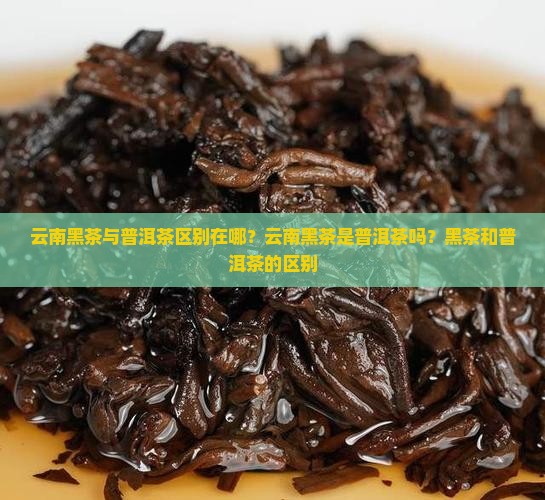 云南黑茶与普洱茶区别在哪