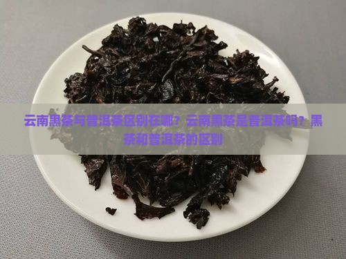 云南黑茶与普洱茶区别在哪