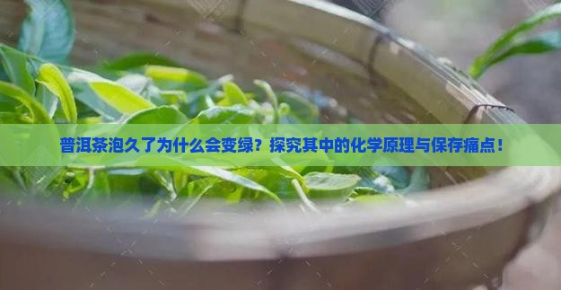 普洱茶为什么泡久了会变绿