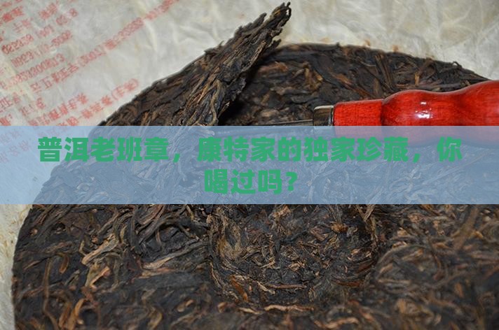 康特专营普洱老班章