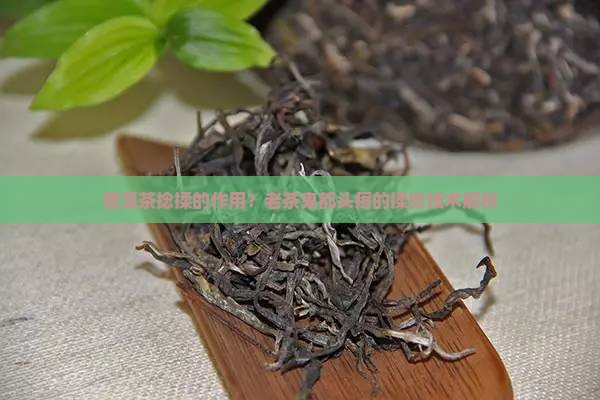 普洱茶捻揉的作用