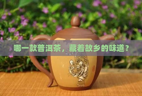 买那里的普洱茶