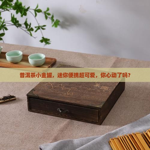普洱茶金属小包装袋子