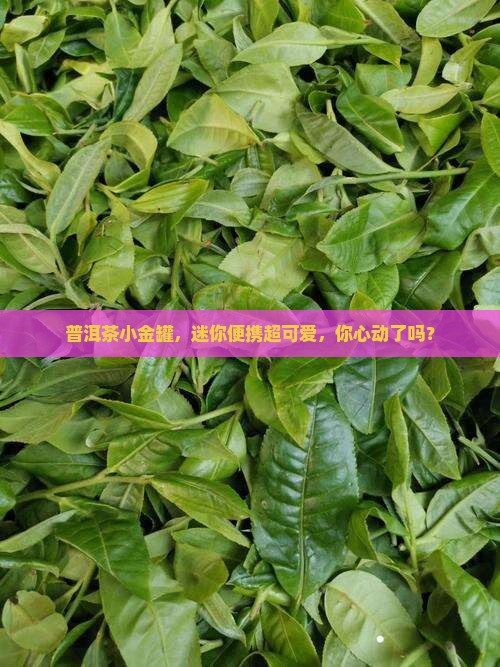 普洱茶金属小包装袋子