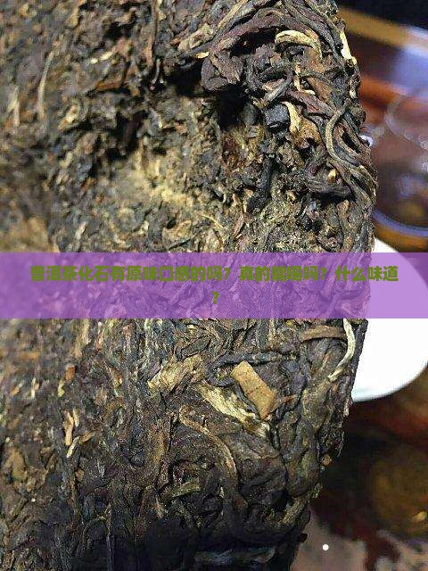 普洱茶化石有原味口感的吗