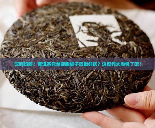 普洱茶能吸橘子皮存放