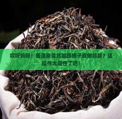 普洱茶能吸橘子皮存放