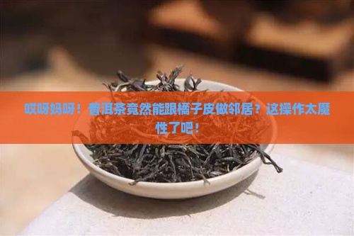 普洱茶能吸橘子皮存放