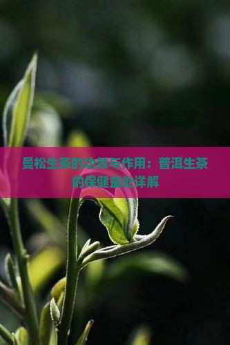 曼松生茶的功效与作用