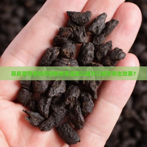 陈皮普洱茶煮茶温度多少合适