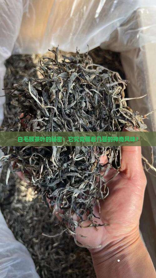 什么猴茶叶白毛猴茶叶是几窨