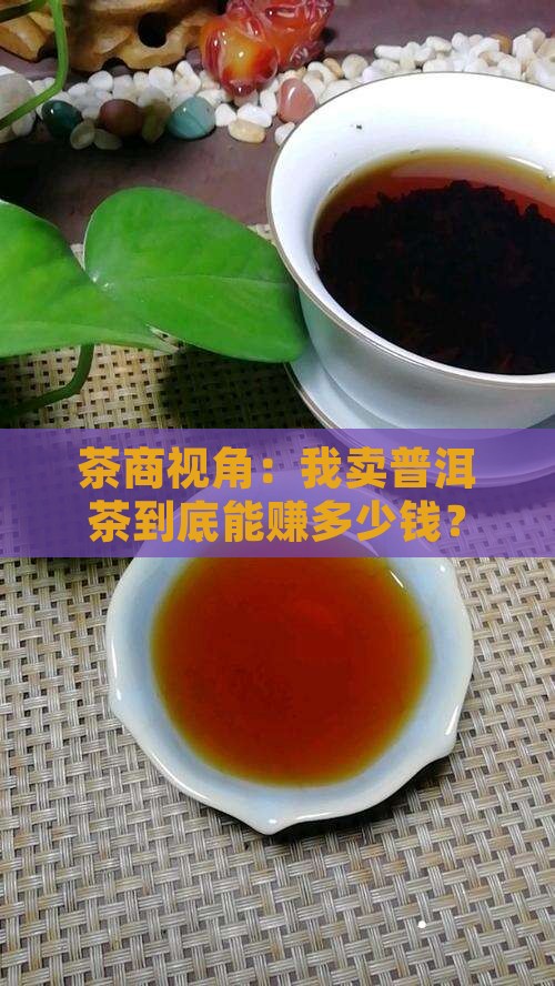 普洱茶利润如何