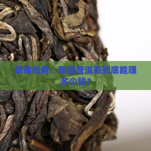 普洱茶利润如何