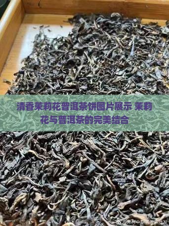 清香茉莉花普洱茶饼 清香茉莉花普洱茶饼