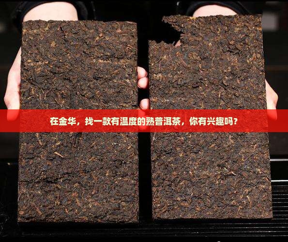 金华有品质的熟普洱茶招商