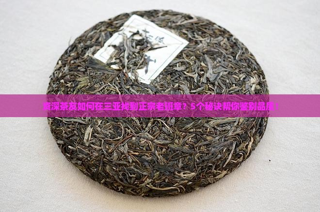 三亚品质好的老班章 三亚品质好的老班章
