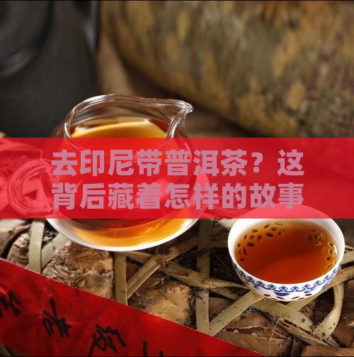 去印尼带普洱茶