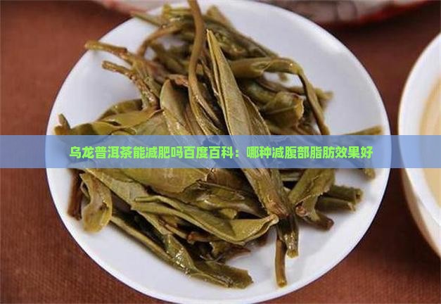 乌龙普洱茶能减肥吗百度百科