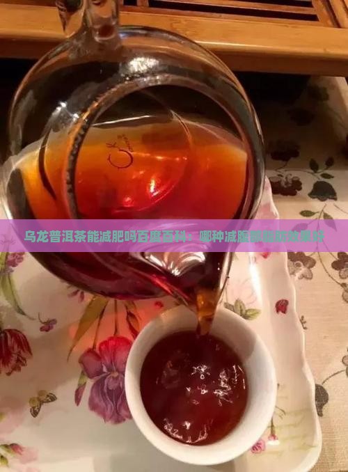 乌龙普洱茶能减肥吗百度百科