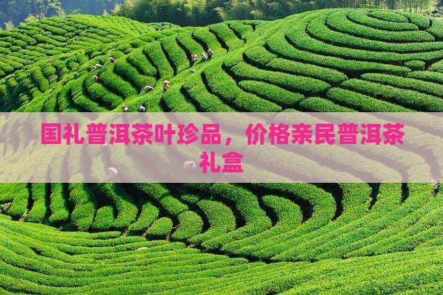 国礼普洱茶绿盒包装