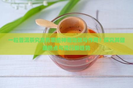 一粒普洱茶的功效与作用