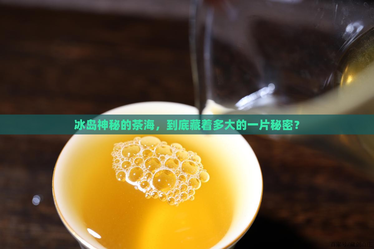 冰岛的茶区有多大