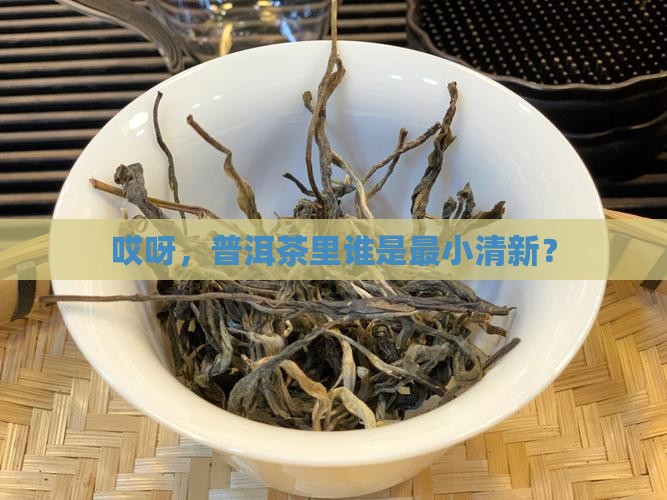 普洱茶最清淡的是什么茶