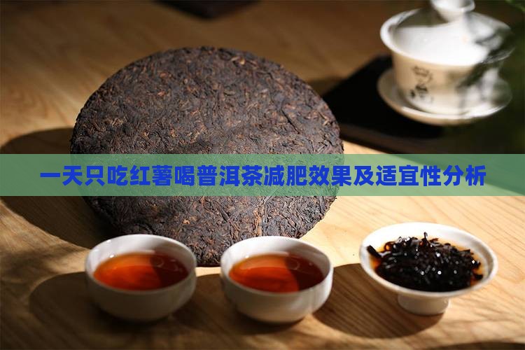 一天只吃红薯喝普洱茶