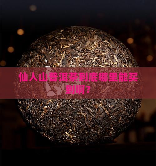 仙人山普洱茶在哪里卖呀