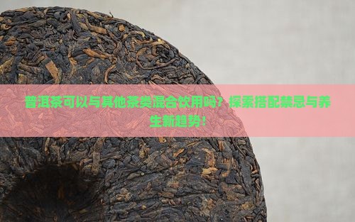 普洱茶可以一起喝吗