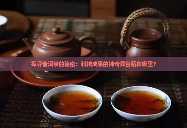 普洱茶的科技成果展示在哪里