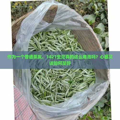 观复普洱茶1421生沱