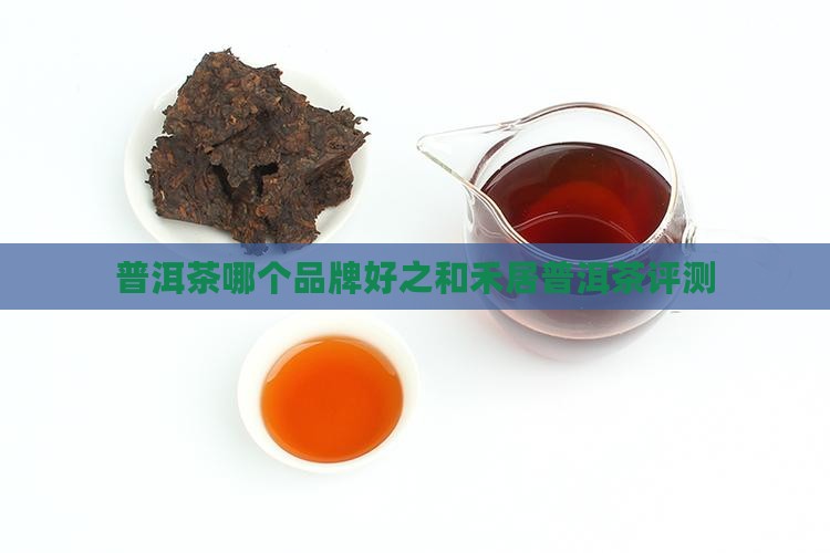 和禾居普洱茶哪个好