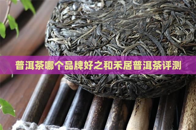 和禾居普洱茶哪个好