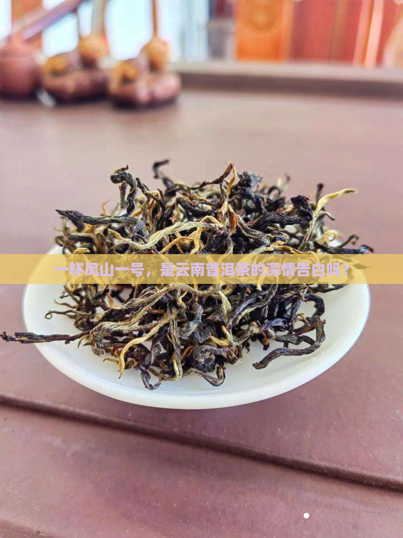 凤山一号云南普洱茶