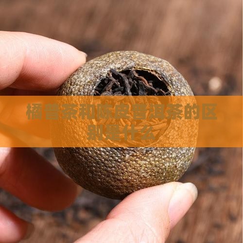 橘普茶和陈皮普洱茶的区别