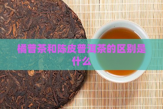 橘普茶和陈皮普洱茶的区别