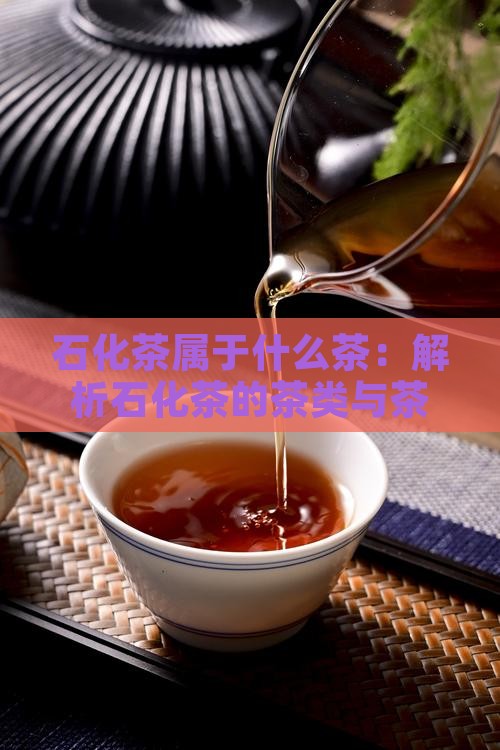 石化茶属于什么茶