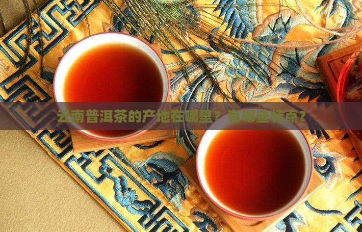 云南普洱茶产地以及特点